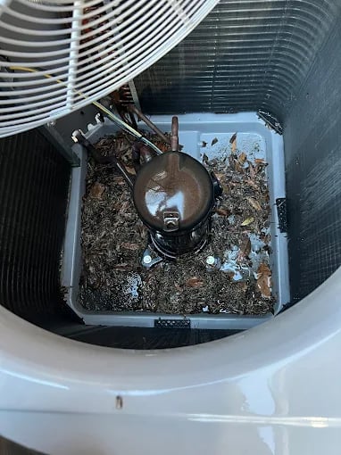 Dirty air conditioner unit interior with debris and fan mechanism